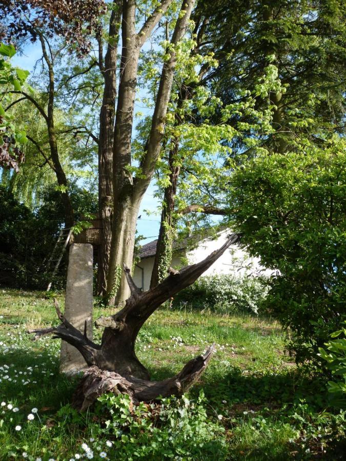 Gîte d'Maïsala Les Mésanges Heidwiller Exterior foto